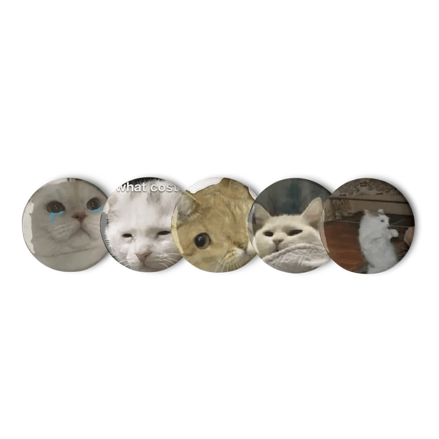 Set of Pin Buttons: Meme Cats 24 product image (1)