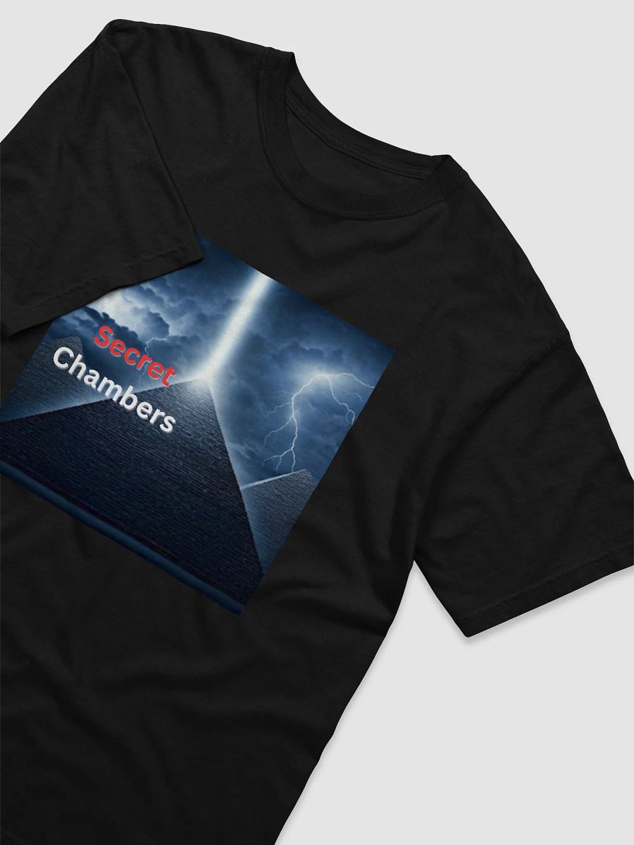 Secret Chambers T-Shirt product image (15)