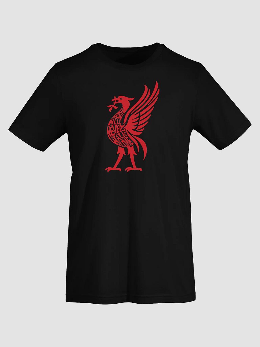Liverpool YNWA T-Shirt product image (2)