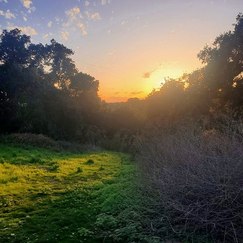 Sun setting on another day...

#naturephotography 
#nature #landscapes #beautifulviews