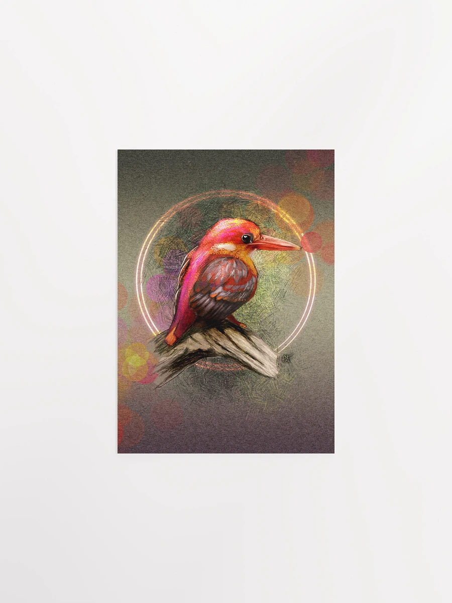 Roufus-Backed Kingfisher Poster Print product image (5)