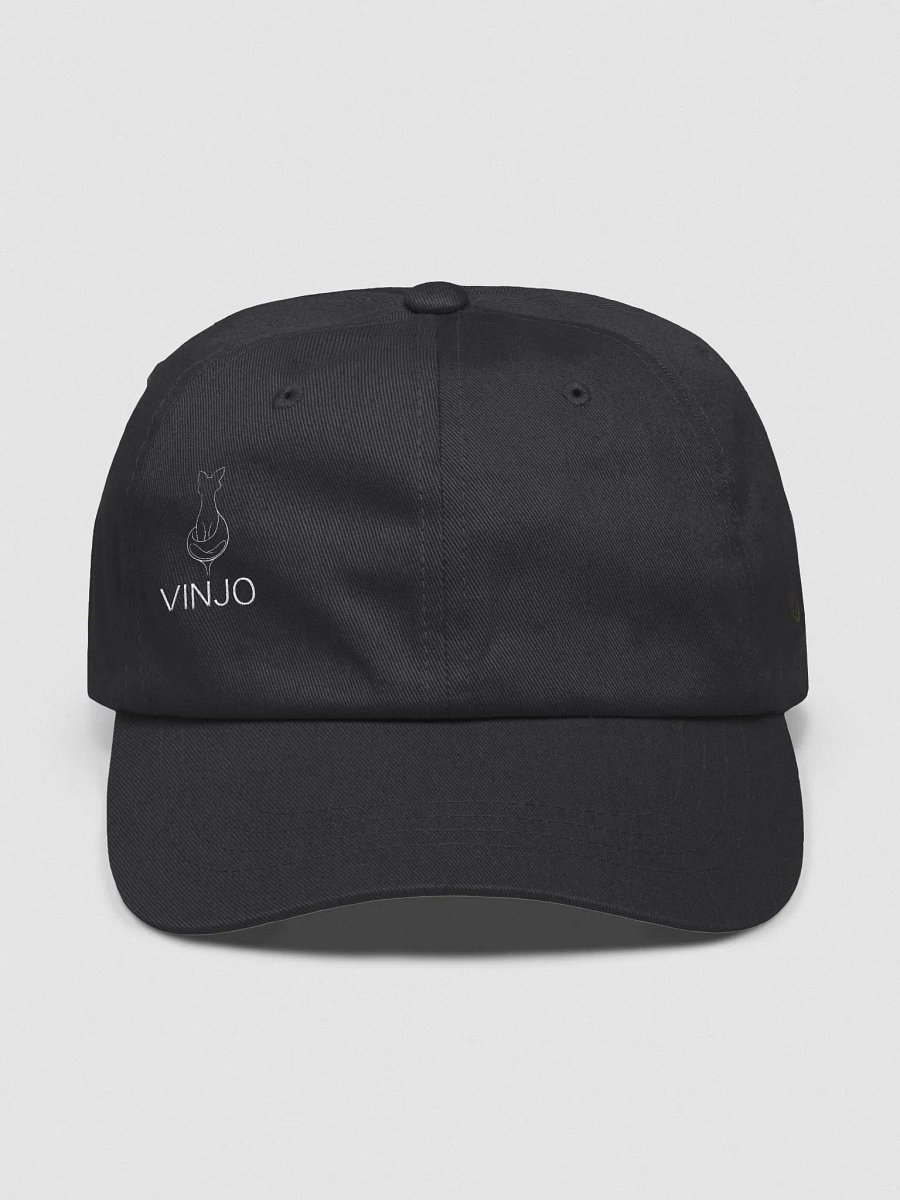 Outside the Box Vinjo Cap product image (5)