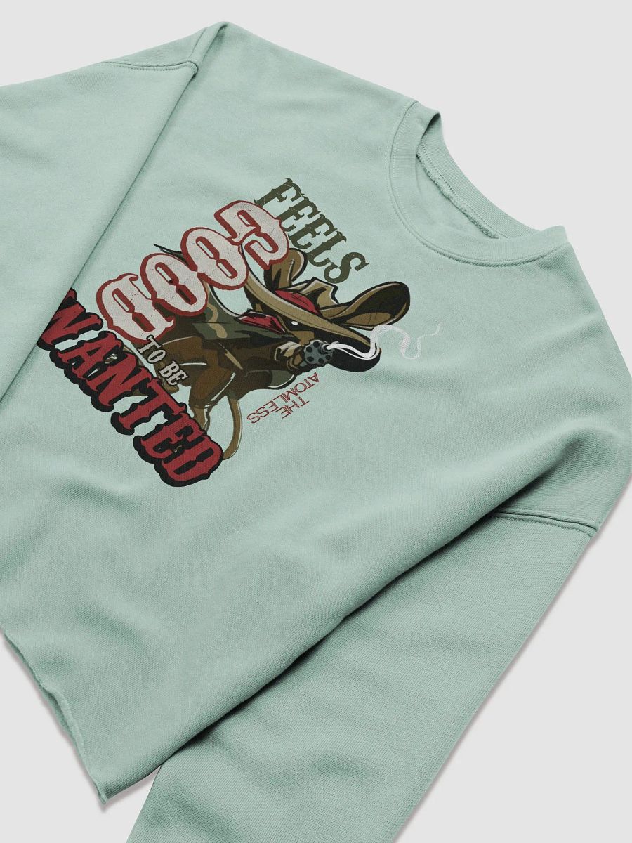 WANTED crop hoodie product image (29)