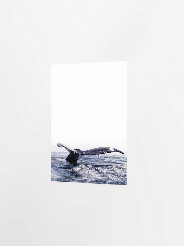 Whale Tail Dive Poster product image (20)