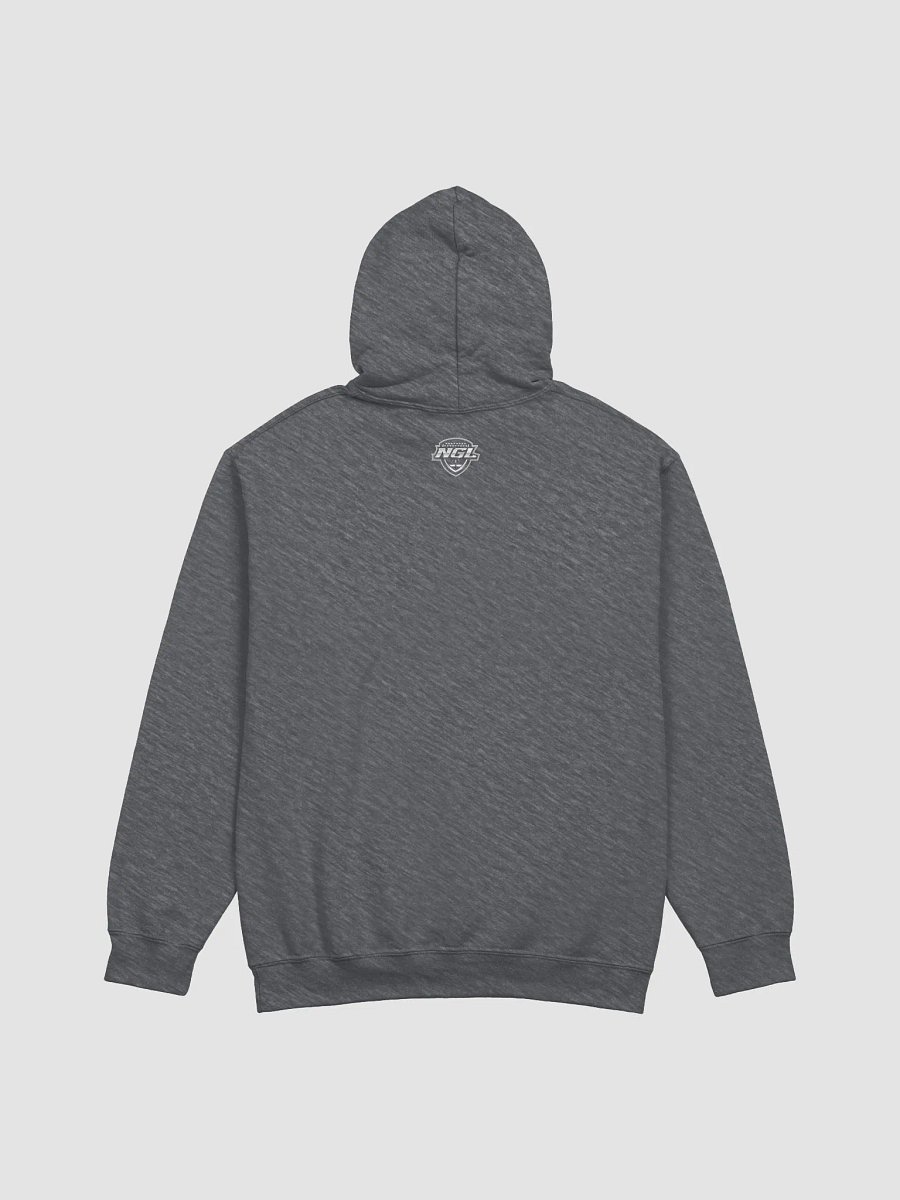 Grand Rapids Rampage Classic Hoodie by Gildan product image (11)