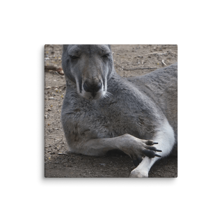 Kangaroo on a Canvas product image (1)