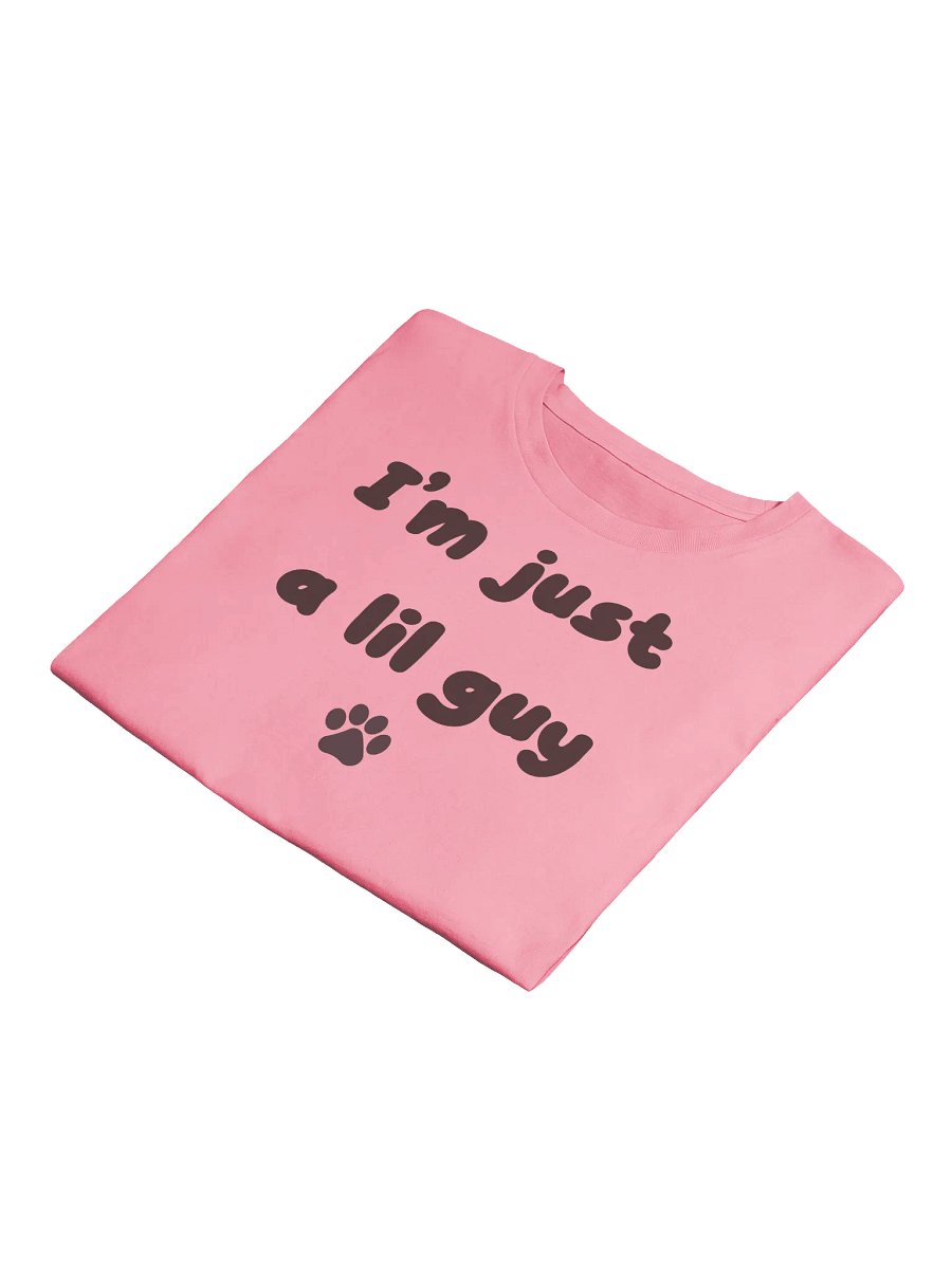Lil guy Crop Top product image (23)