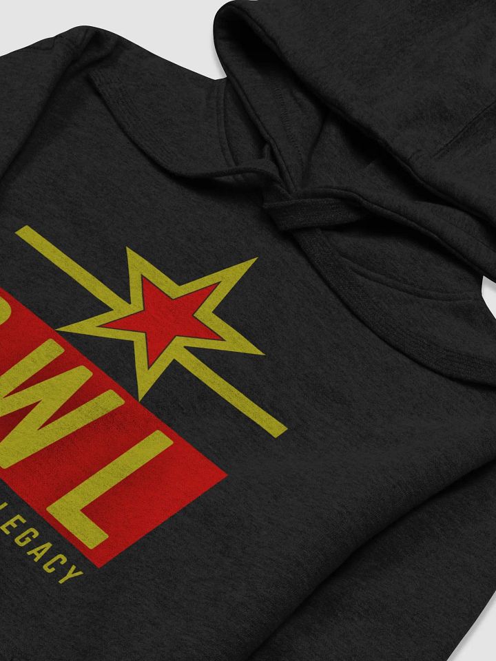 PWL Hoodie product image (2)