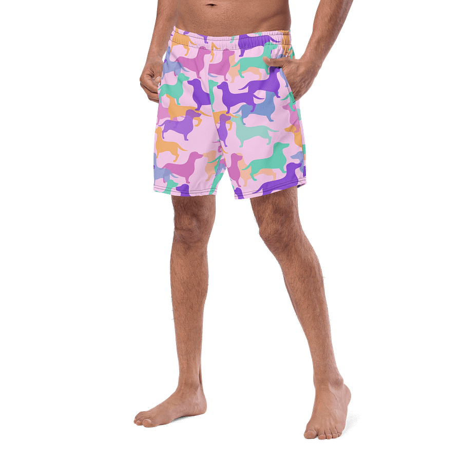 Pastel Camo Hughie Swim Shorts product image (2)