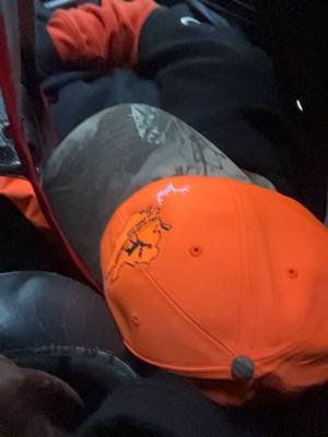 He only comes for the naps #nolan #fyp #sleepy #bear