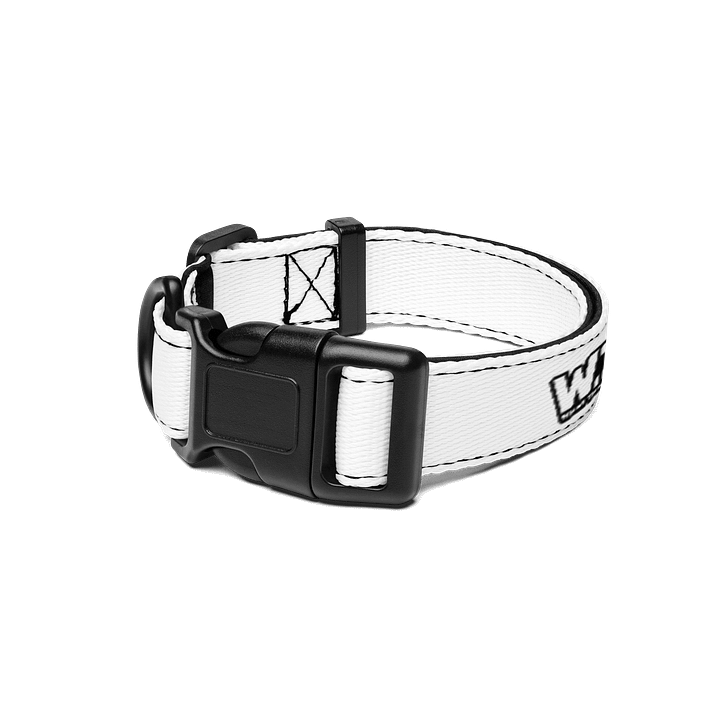 WTF! Pet Collar product image (1)
