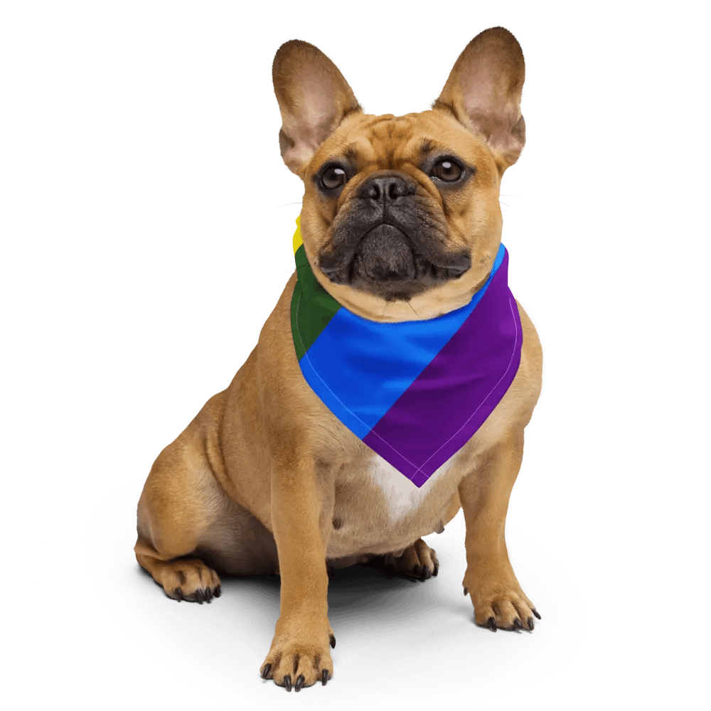 DINK IS ALWAYS RIGHT PRIDE EDITION BANDANA product image (6)
