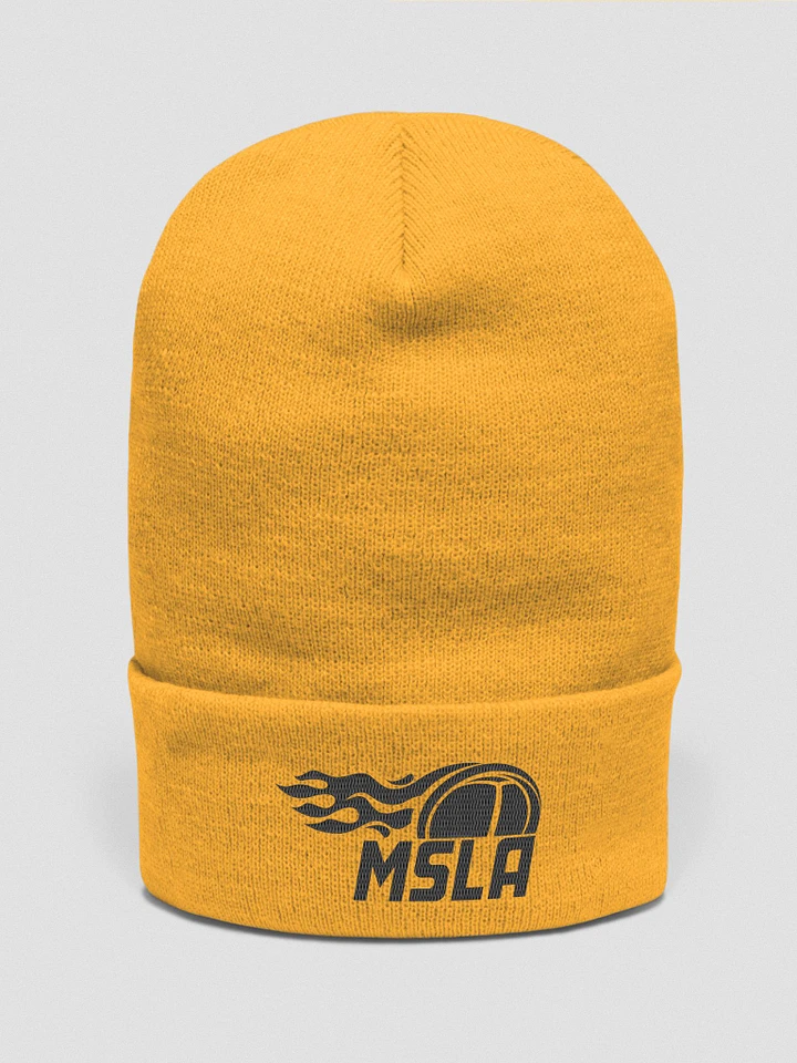 MSLA - The MSLA Centennial Beanie product image (1)