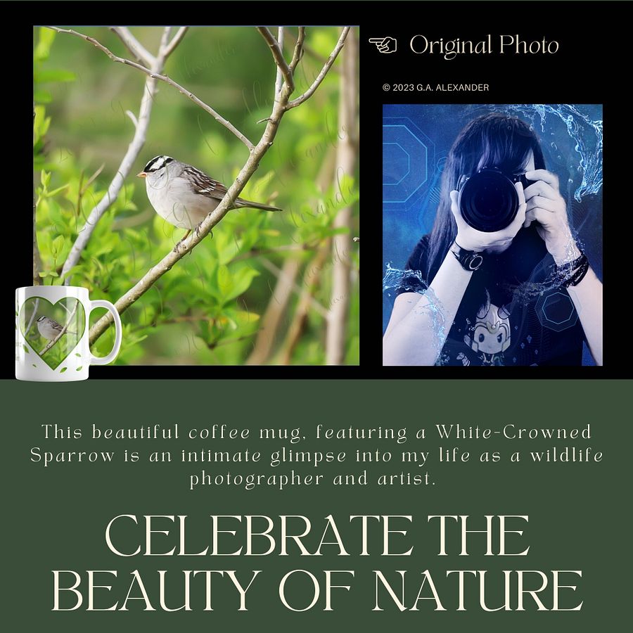 White-Crowned Sparrow Bird Wildlife Photography Mug product image (3)