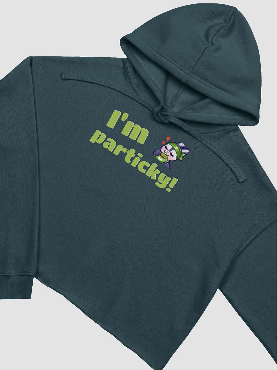 Particky Crop Hoodie product image (3)