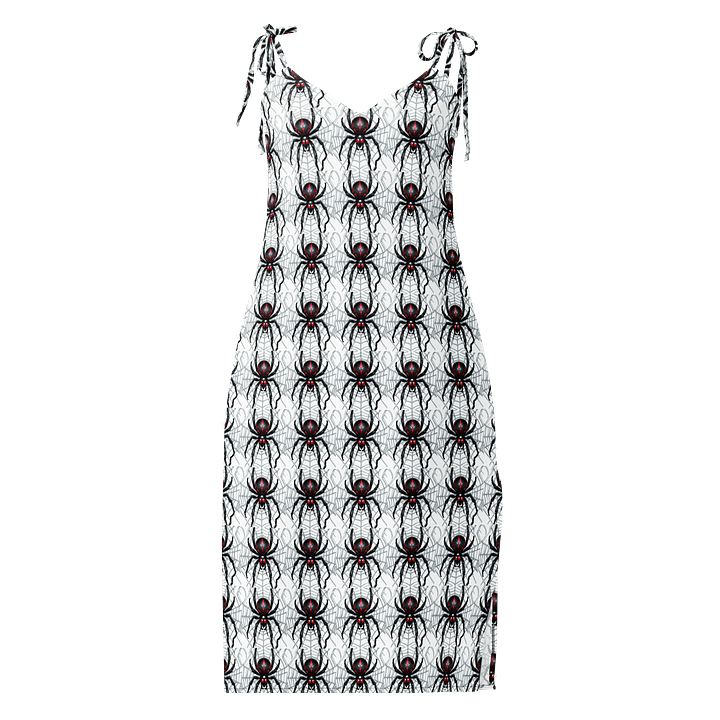 Widow Maker Chiffon Slip Dress product image (2)