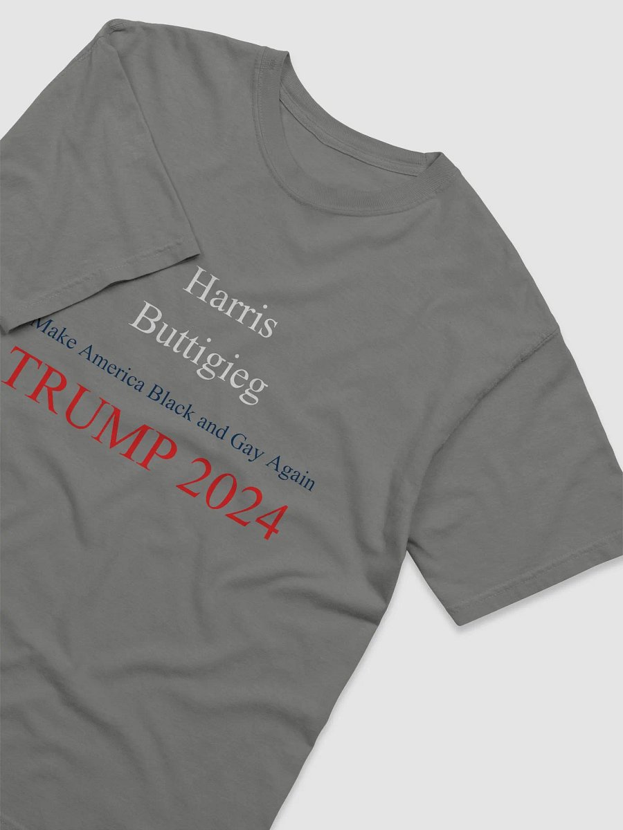 Harris Buttigieg - Make America Black & Gay Again product image (3)