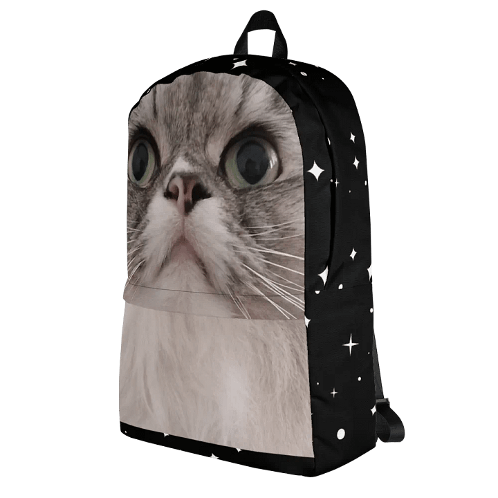 Duman Backpack product image (1)