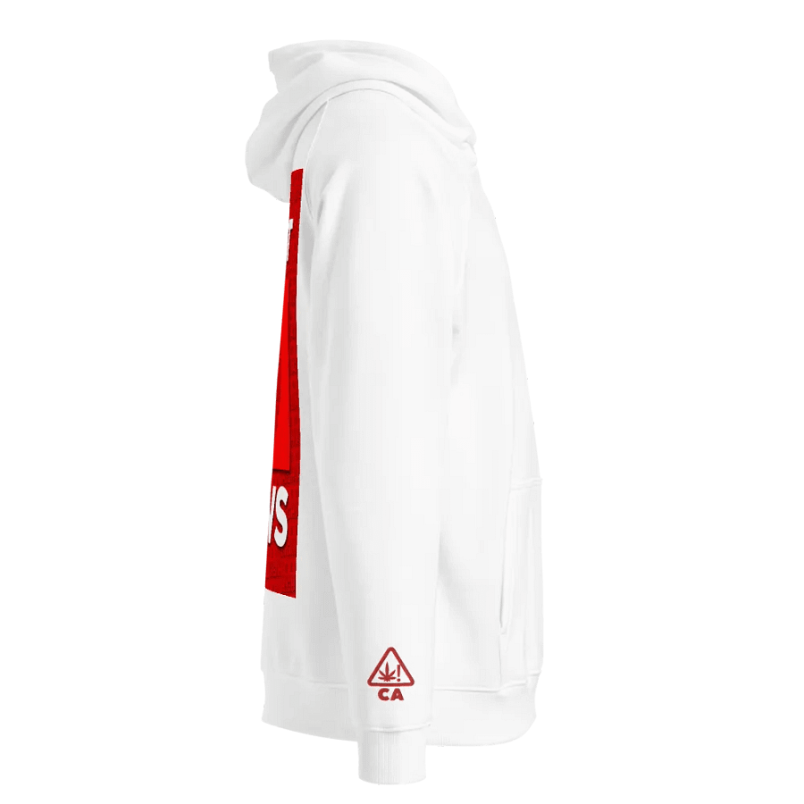 HA9N Official Premium Embroidered And DTG Printed Hoodie product image (4)