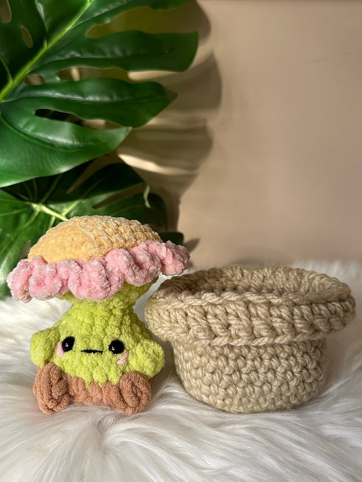 Baby Sunflower & Flower Pot product image (2)
