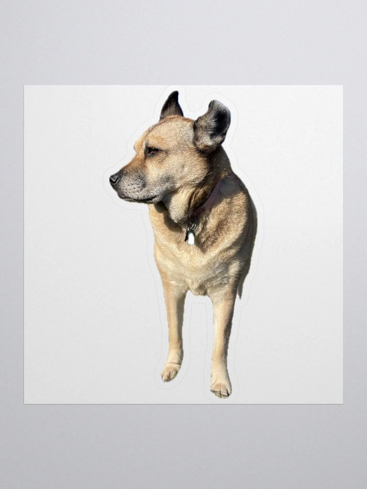 Brinlee sticker product image (1)