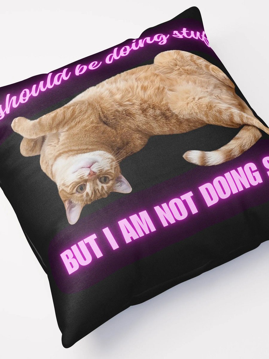 Cat Pillow product image (5)