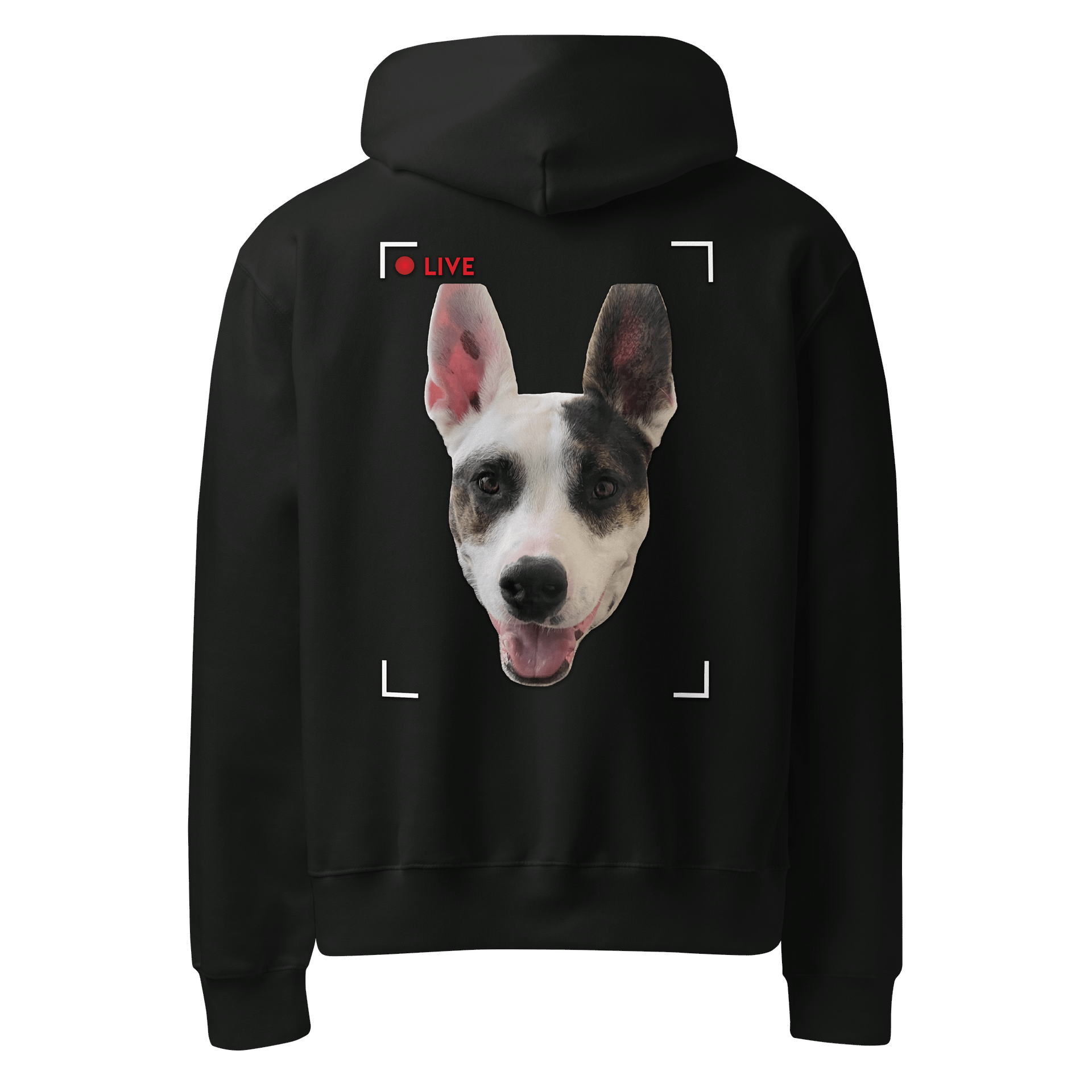 Sagey Hoodie product image (26)