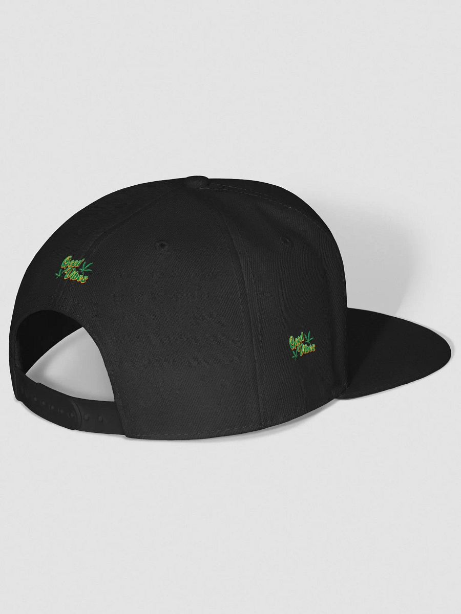 BizzWorld Drip snapback collection product image (32)