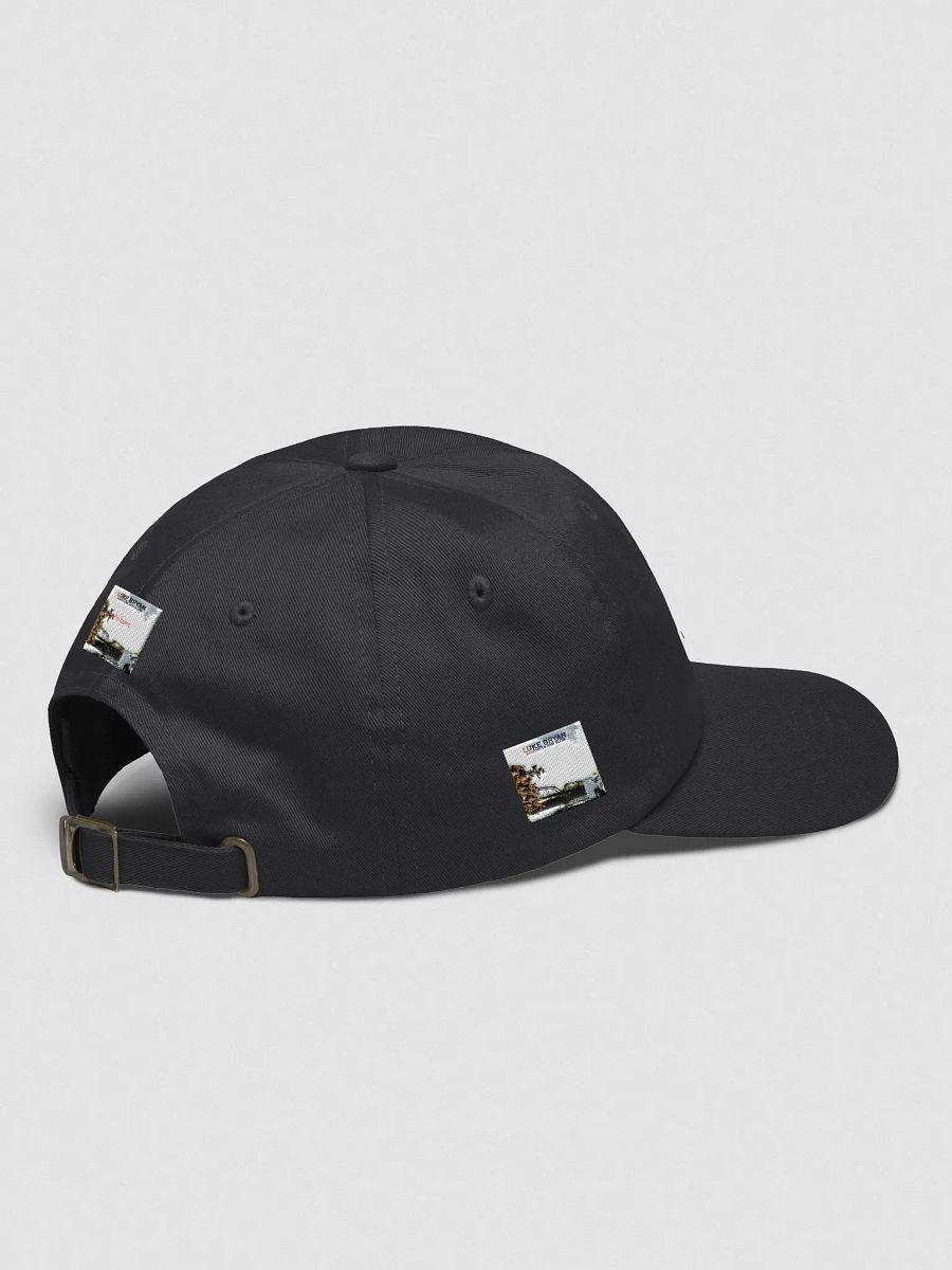 Southern And Slow Hat product image (4)