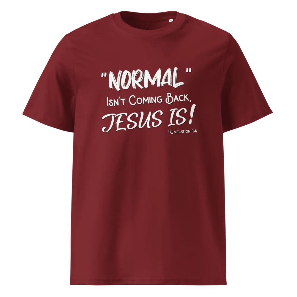 Revelation 14 | Unisex Shirt product image (1)