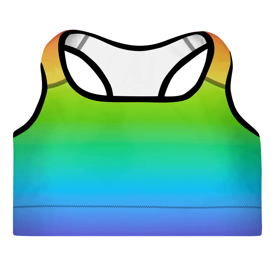 Rainbow Sports Bra product image (10)