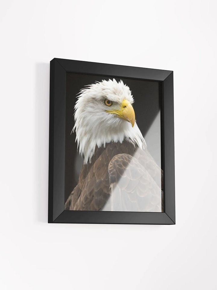 American Bald Eagle product image (21)