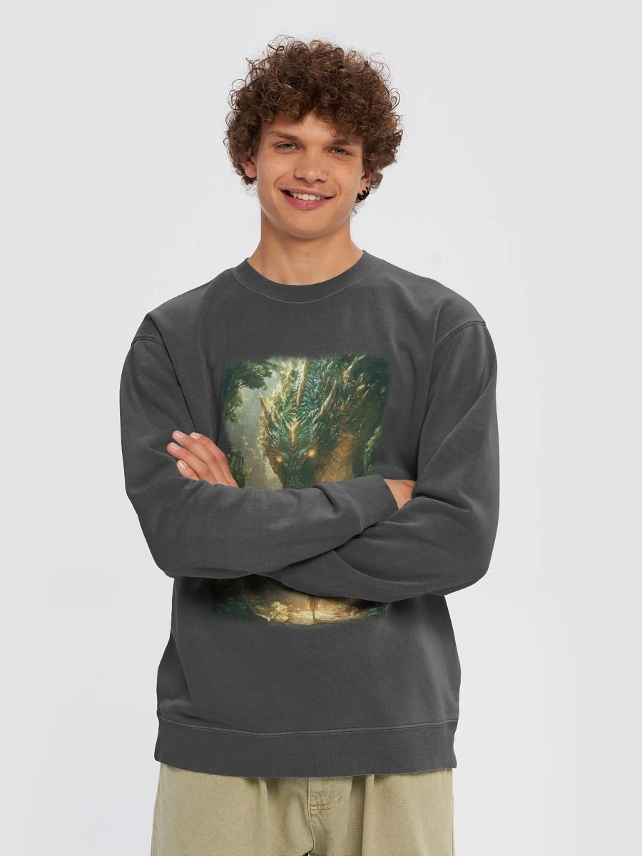 Mystical Dragon Encounter Sweatshirt product image (4)