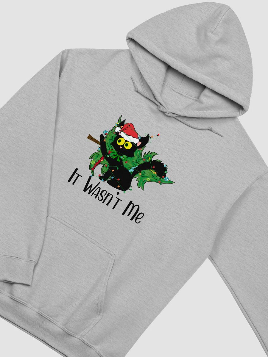 It Wasn't Me Hoodie product image (3)