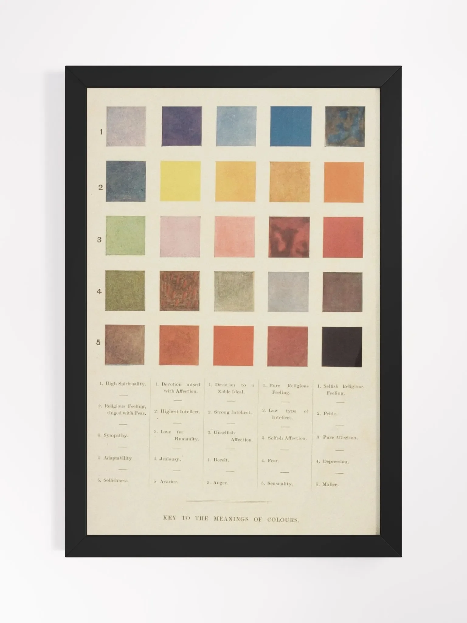 Color Theory product image (1)