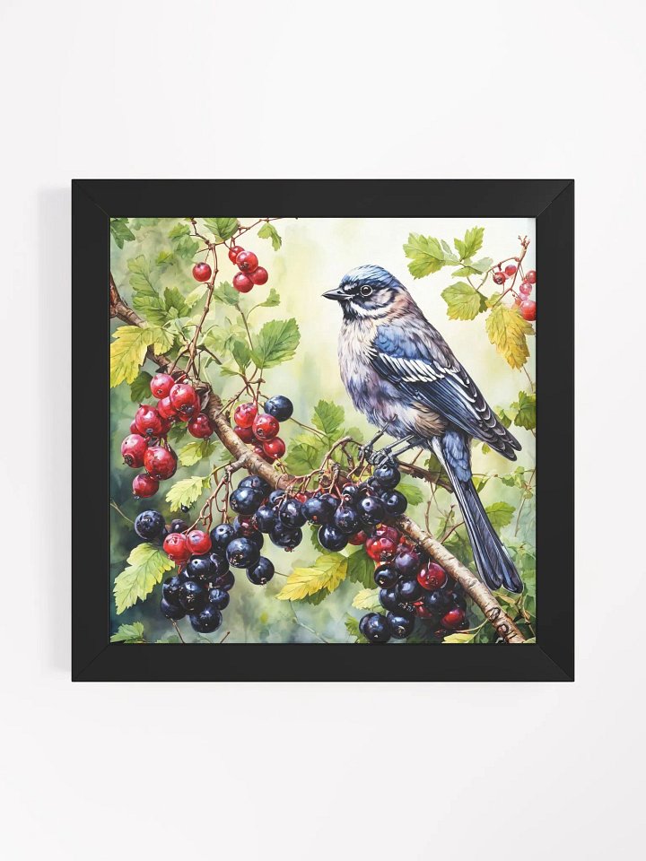 A bush with black currant berries product image (4)
