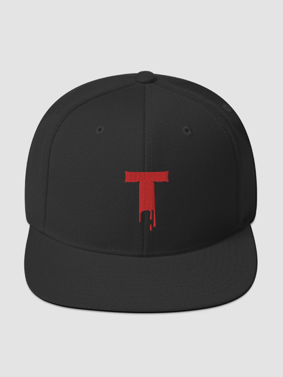 [Tyminatorsongs] Classic Snapback | Yupoong 6089M (3D Puff) product image (2)