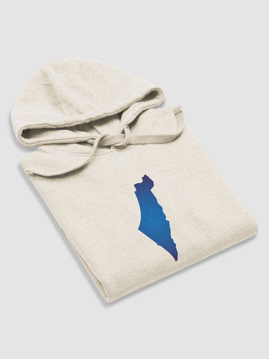 AM YISRAEL CHAI Premium Hoodie product image (7)
