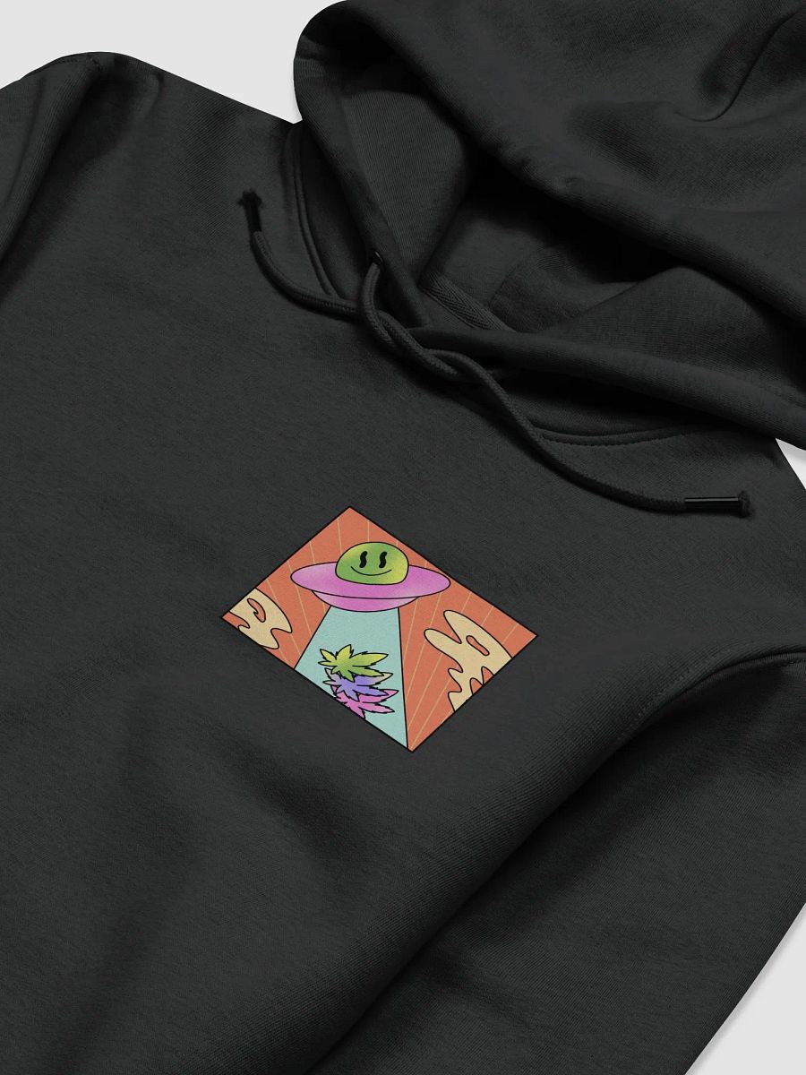 "High Flyer" Pullover Hoodie product image (3)