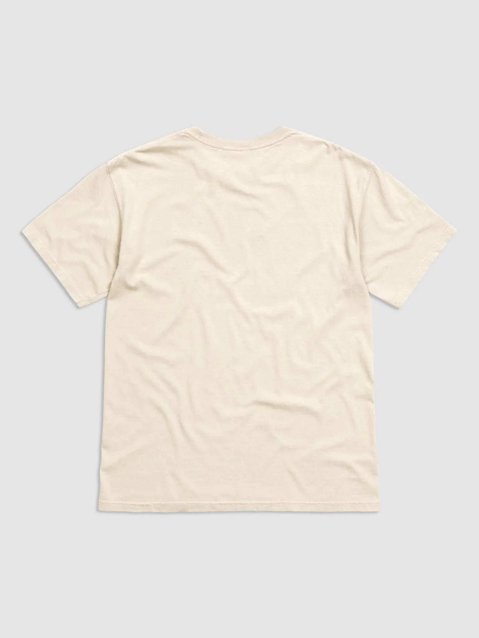 Value T-Shirt product image (2)