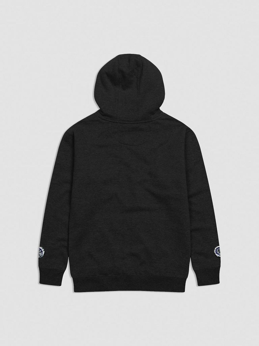 Balled Isopod Embroidered Hoodie product image (2)