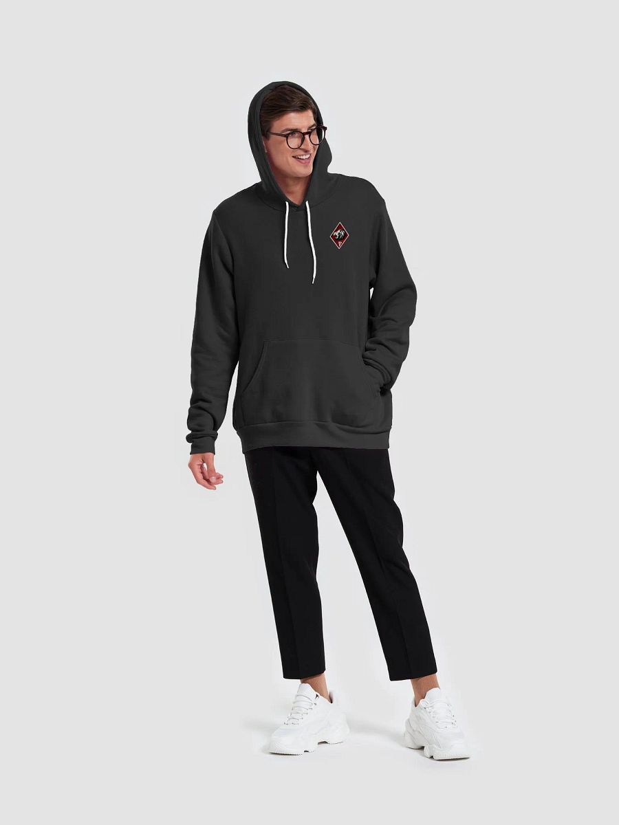 Nightmare Realm Lion Team Hoodie product image (10)