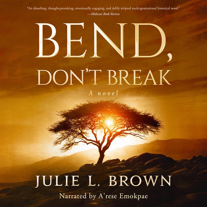 Bend, Don't Break (audiobook) product image (1)