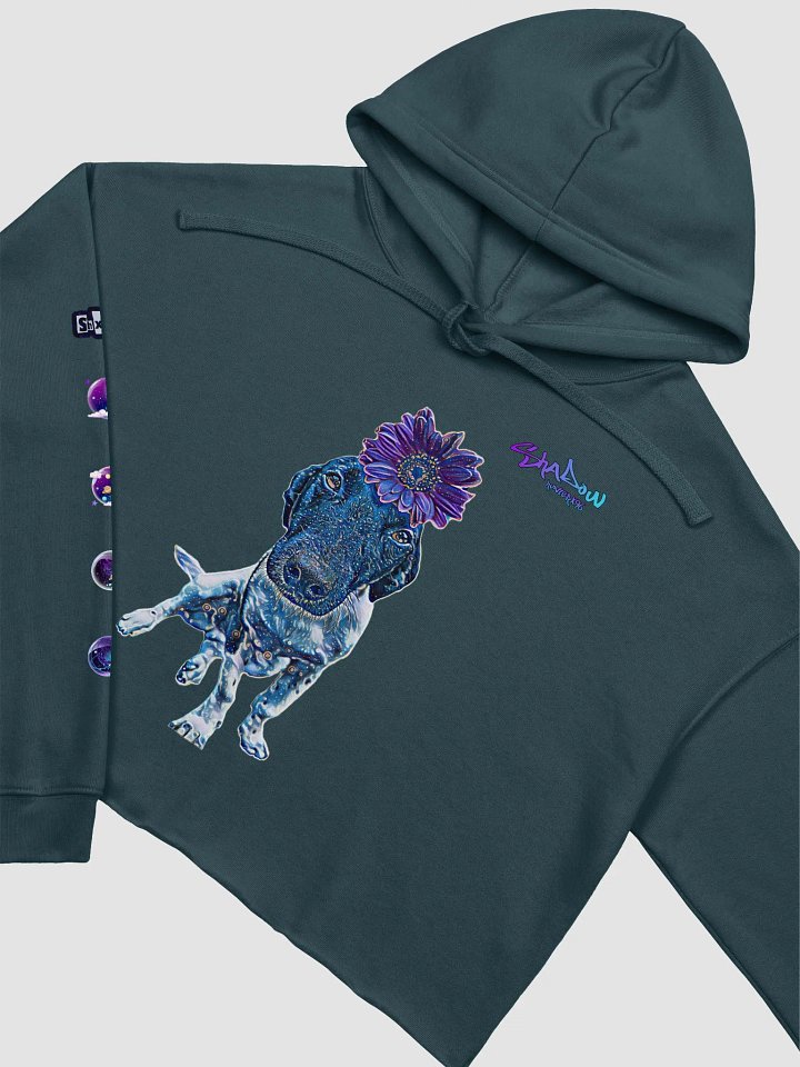 Cropped Galaxy Alfie Hoodie product image (1)