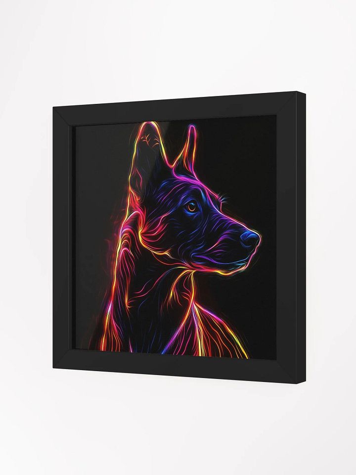 Belgický ovčák Malinois, neonový product image (22)