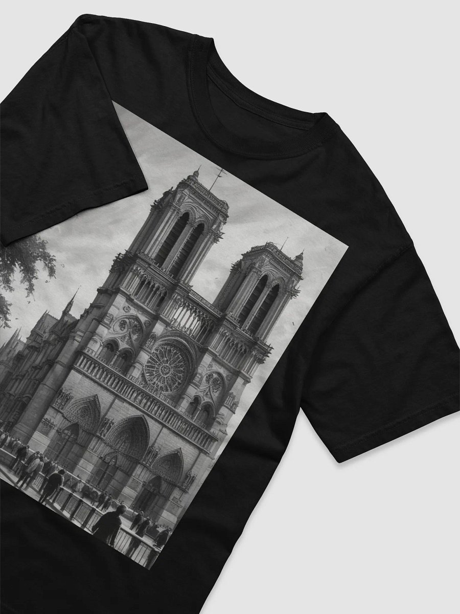 notre dame de paris product image (17)