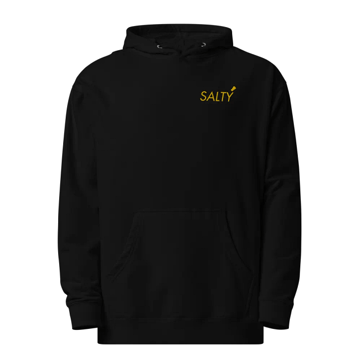 Embroidered Salty Hoodie product image (1)
