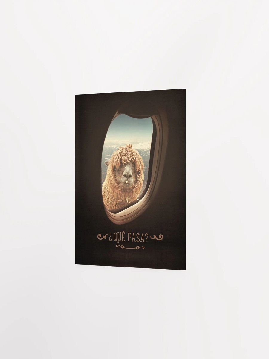 Llama's Perspective Poster "¿Que Pasa?" product image (14)