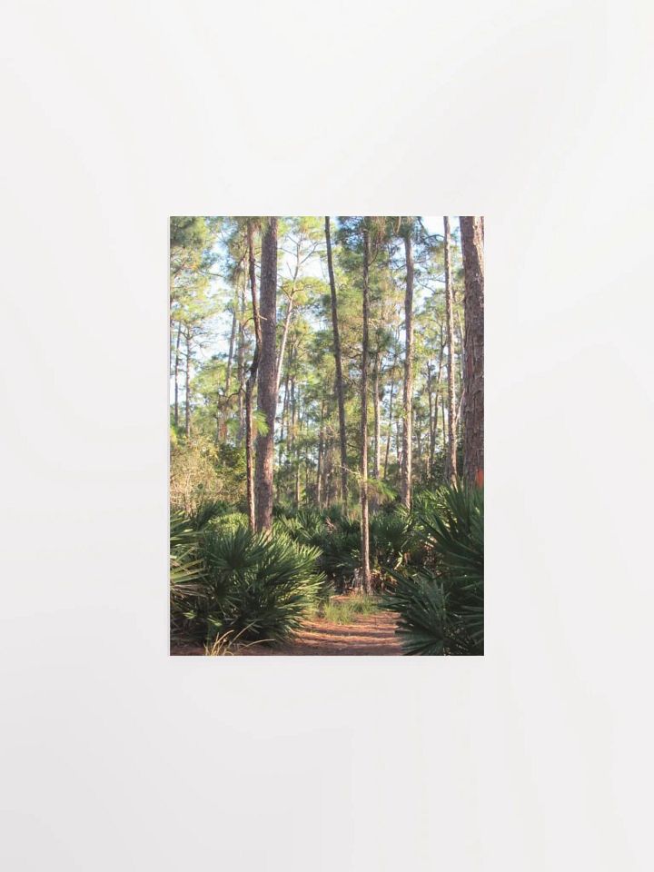 Florida Woods product image (8)