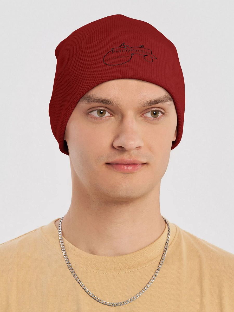 PennyPincher Beenie product image (6)